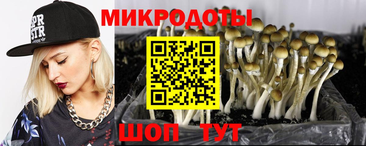 Галлюциногенные грибы Magic Shrooms  Вход с VPN  цена наркотик  Новоалтайск  Псилоцибиновые грибы мицелий 